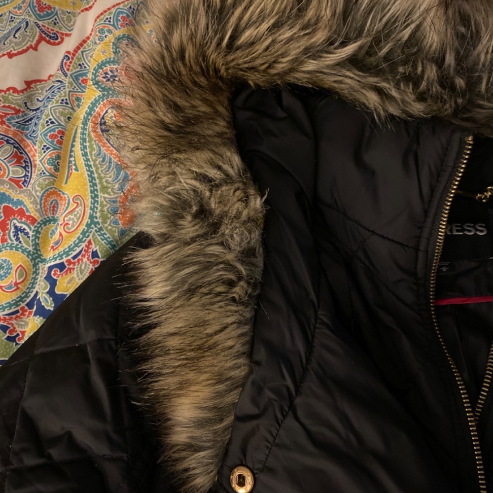 Express Winter Jacket - Picture 2 of 4